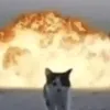 ipsilown
