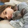 BuLu