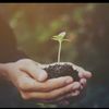 Voice4Change.🌱🌍