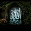 nazinuddin501