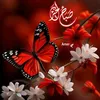 user4945257102960
