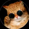 miao_249