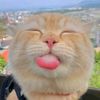 gongprin.nakap