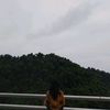 cicak.merayap18