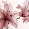 balazs.dorina4