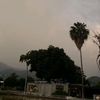 blanquito_211
