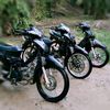 proxyy149