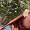 🦋𝒔𝒆𝒉𝒂𝒂𝒎|سـيهـآمہ🦋