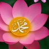 وتيـن