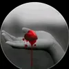 120_so