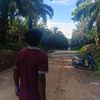 berkah.celll2