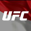king.mma31