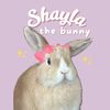 shayla.theebunny