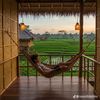 aung.aung.htwe505
