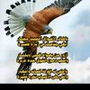 user5318839501793