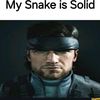 mysnakeissolid67