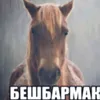 brutalsigmaabaunga22