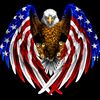 patriot3327