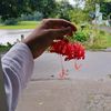 habiba09965
