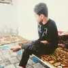 slncb8