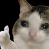 siuu_661