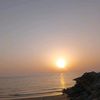 maryamjutt944