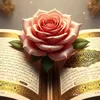 user9984081906912