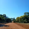 naturediadia