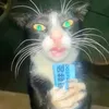 mixaliz240