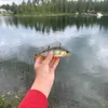 sa.fishing5