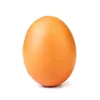 guenther_the_egg