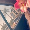 kimberly.reyna923