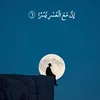 sayedvdhg2