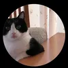 kudo_nguyen28