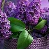 user5881672067077