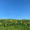 brabant_is_de_beste