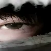 venomxsxs