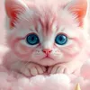 user4467124376210