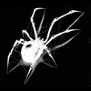 nerves_brain0