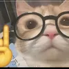 gatito_premiumgkd