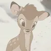 qlq_prsn