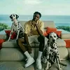 gabrieltiakola.237