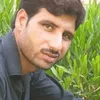 baz.muhammad9564
