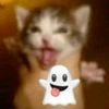 cris_1148