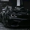 lawybotan01