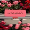 user7313230242023