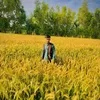 chaudhary.wasif00