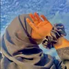 abrishfatima1013