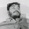 md.gmahmed