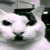 malikfahmi7